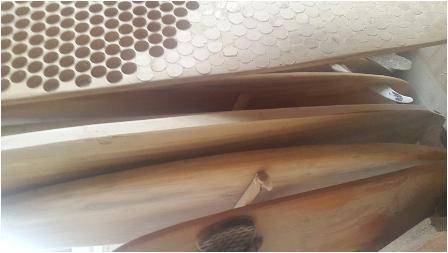 CAPITEN trabalha na realização de tutoriais vídeo sobre a construção de pranchas de surf ecológicas