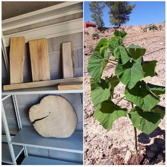 CAPITEN trabalha na realização de tutoriais vídeo sobre a construção de pranchas de surf ecológicas