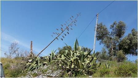 CAPITEN trabalha na realização de tutoriais vídeo sobre a construção de pranchas de surf ecológicas