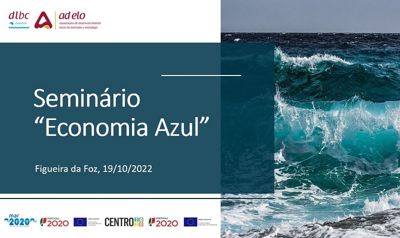 Blue economy seminar for FLAGs