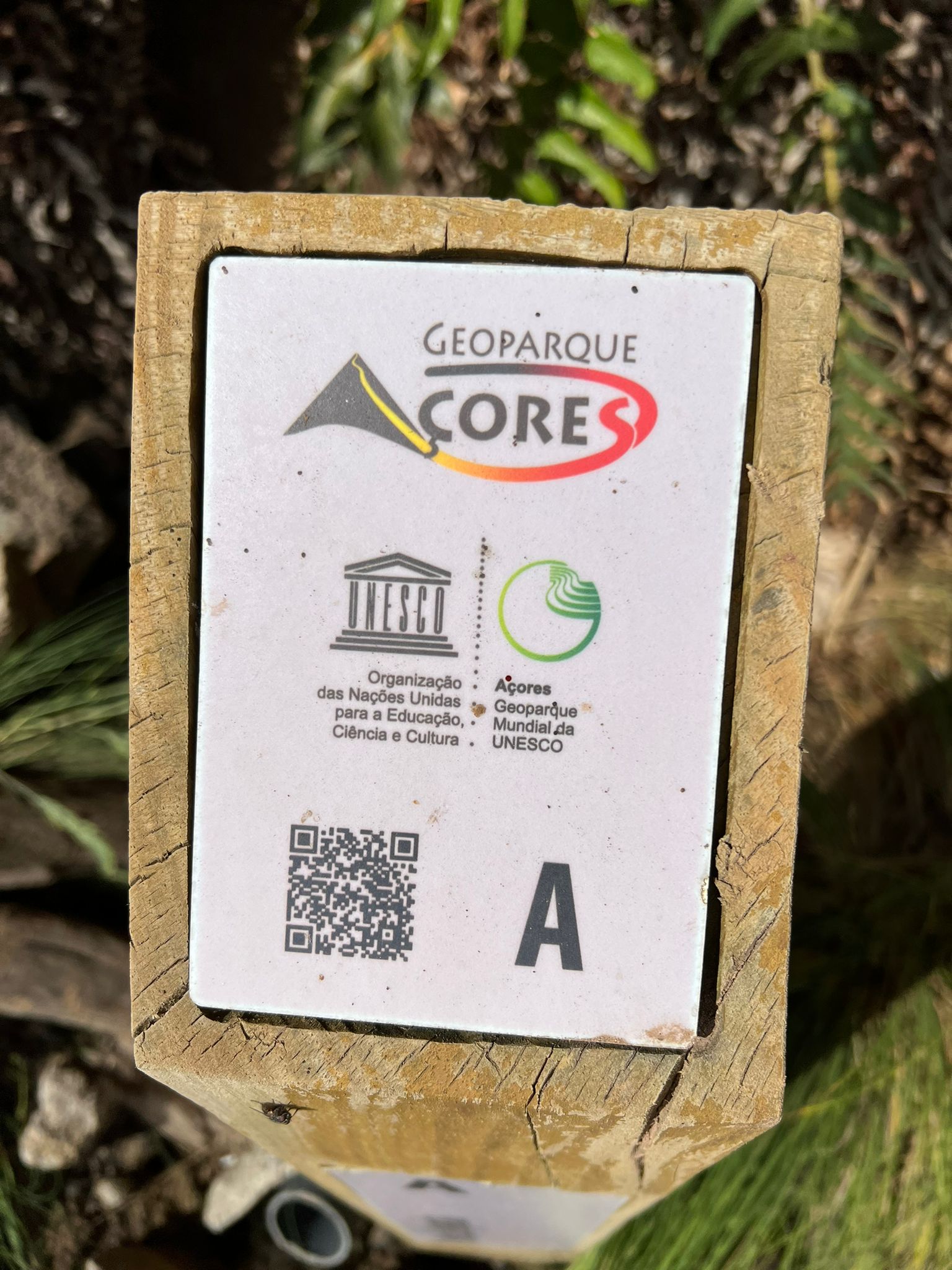 Vários Grupos de Ação Local (GAL) de Portugal reuniram-se para partilhar experiências e conhecimentos sobre o “Geoparque dos Açores”