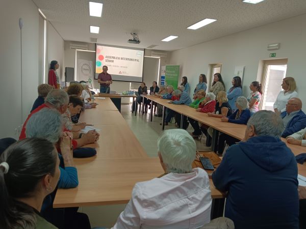 A AD ELO promove o segundo encontro da Assembleia Intermunicipal Sénior | VirtuALL