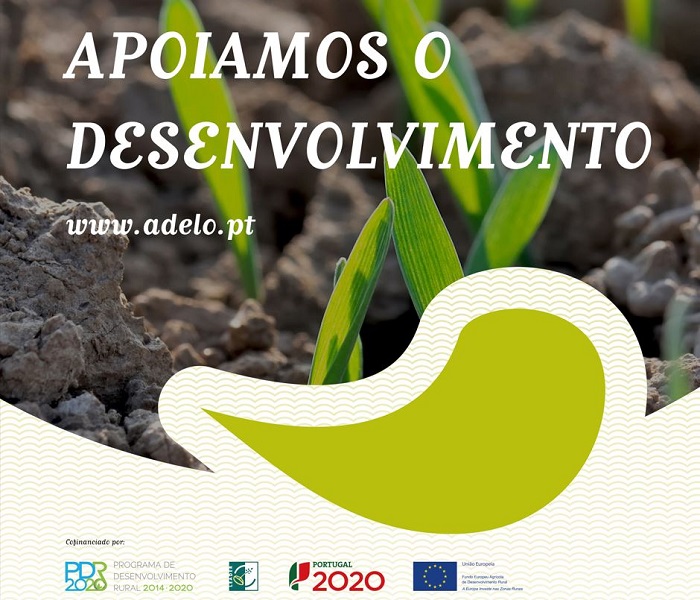 AD ELO aprovou 90 projetos de “Renovação de tratores” (2,84 milhões de euros de investimento e 1,42 milhões de euros de apoio)