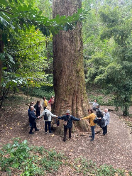 Mais de 700 idosos celebram o Dia Internacional do Idoso nos “Percursos VirtuALL” na Mata Nacional do Bussaco