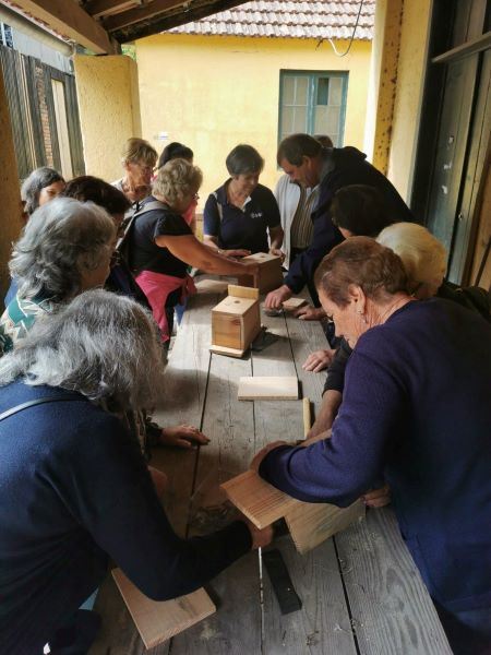 Mais de 700 idosos celebram o Dia Internacional do Idoso nos “Percursos VirtuALL” na Mata Nacional do Bussaco