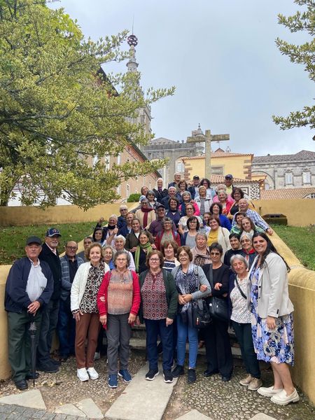 Mais de 700 idosos celebram o Dia Internacional do Idoso nos “Percursos VirtuALL” na Mata Nacional do Bussaco