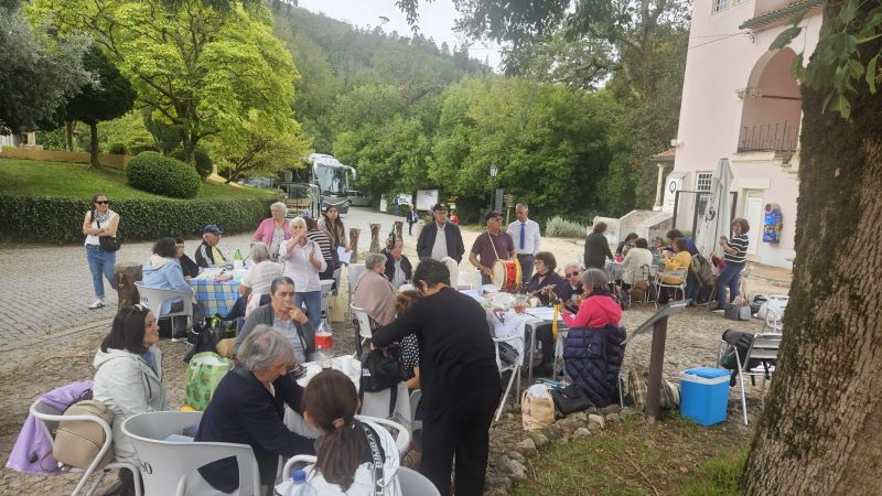 Mais de 700 idosos celebram o Dia Internacional do Idoso nos “Percursos VirtuALL” na Mata Nacional do Bussaco