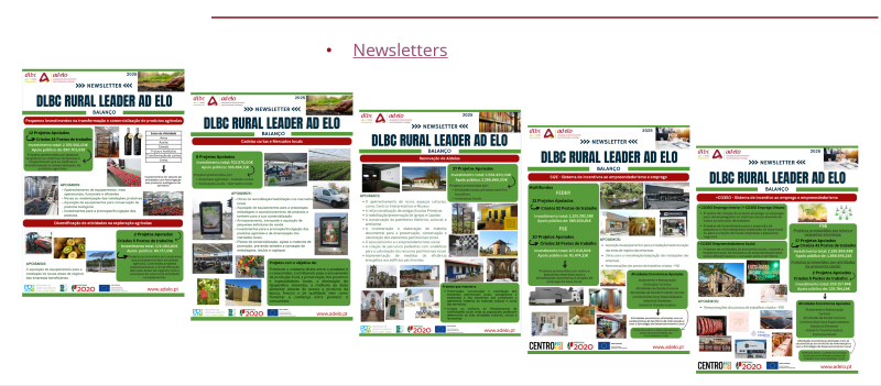 DLBC/Rural LEADER AD ELO – Balanço – Newsletters